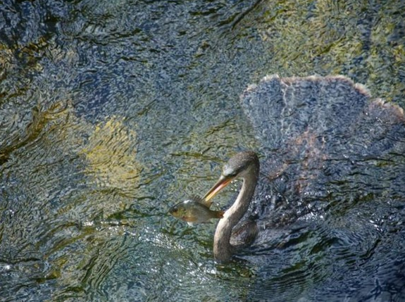 Şubat ayının en iyi fotoğrafları 15