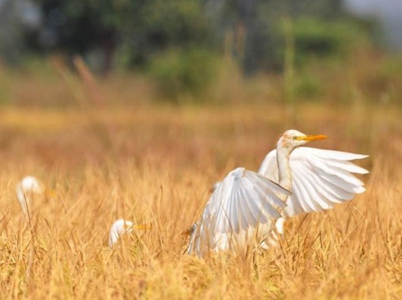 Şubat ayının en iyi fotoğrafları 17