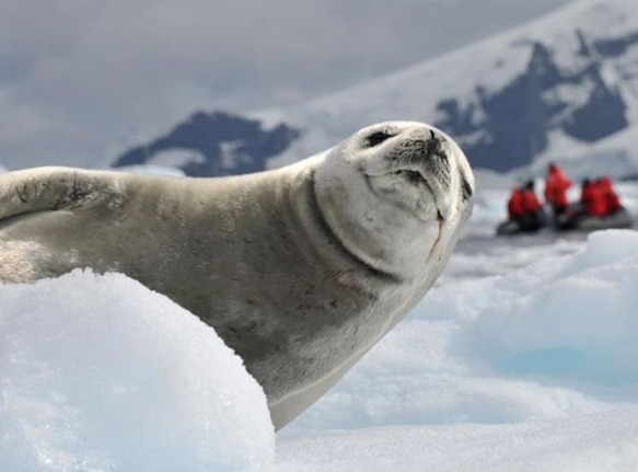 Şubat ayının en iyi fotoğrafları 18