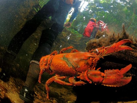 Şubat ayının en iyi fotoğrafları 19