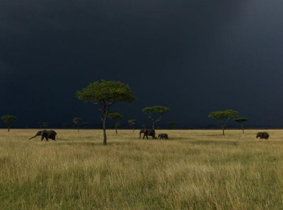 Şubat ayının en iyi fotoğrafları 20