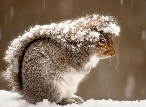 Şubat ayının en iyi fotoğrafları 24