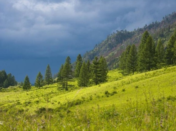 Şubat ayının en iyi fotoğrafları 4