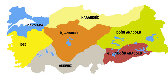 İşte Türkiyenin kanser haritası 3