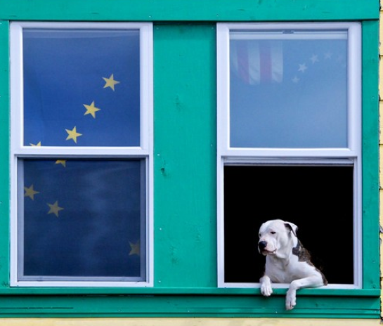 Dünyayı sallayan 50 fotoğraf 11