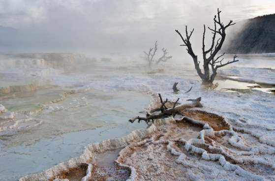 Dünyayı sallayan 50 fotoğraf 23