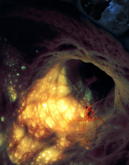 Dünyayı sallayan 50 fotoğraf 27