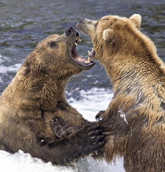 Dünyayı sallayan 50 fotoğraf 29