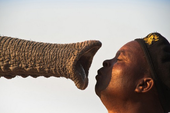 Dünyayı sallayan 50 fotoğraf 44