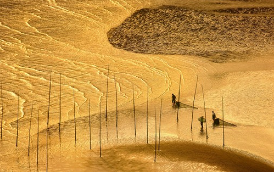 Dünyayı sallayan 50 fotoğraf 47