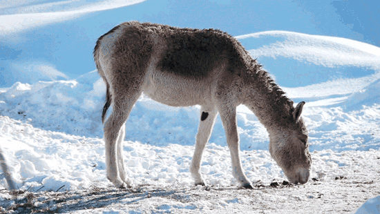 Bu fotoğraflar canlı! 11