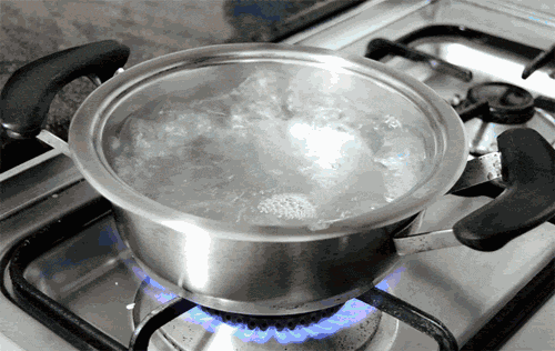 Bu fotoğraflar canlı! 20