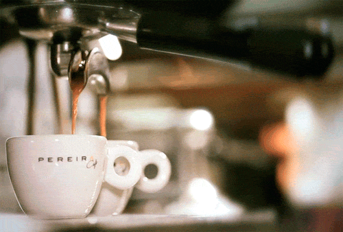 Bu fotoğraflar canlı! 7