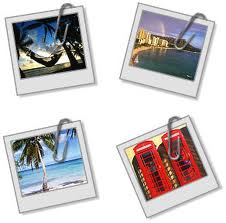 Bu fotoğraflar canlı!