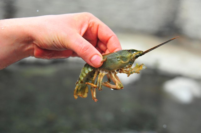 Kayı Gölü, keşfedilmeyi bekliyor 1