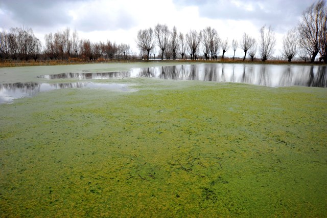 Kayı Gölü, keşfedilmeyi bekliyor 2