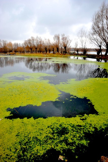 Kayı Gölü, keşfedilmeyi bekliyor 3