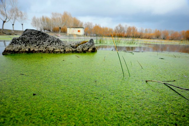 Kayı Gölü, keşfedilmeyi bekliyor 4