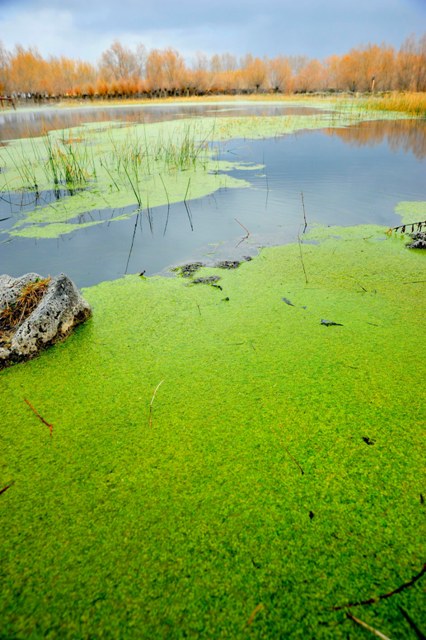 Kayı Gölü, keşfedilmeyi bekliyor 6