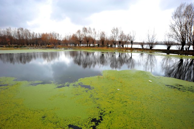 Kayı Gölü, keşfedilmeyi bekliyor 9