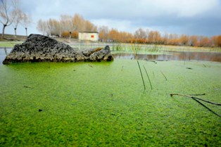 Kayı Gölü, keşfedilmeyi bekliyor