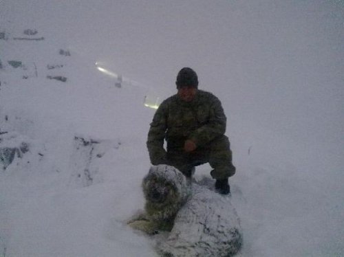 Uzman çavuşun baba evine ateş düştü  3