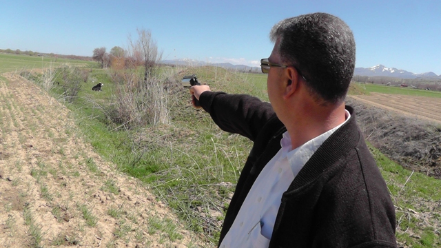 Tarlalarda boğa kovalamacası 6