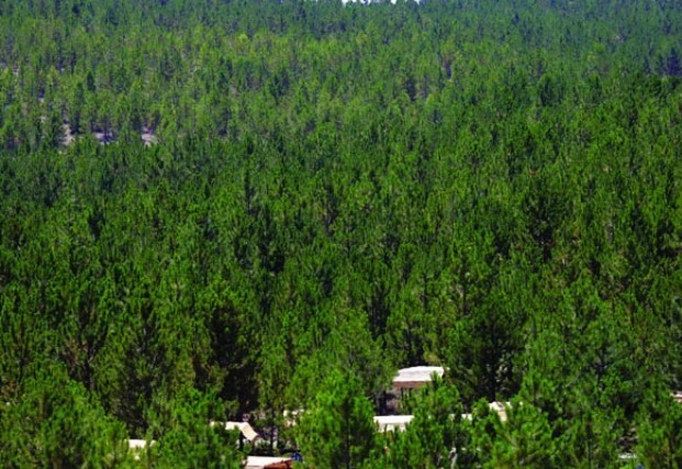 Şimdilerde Konya 15