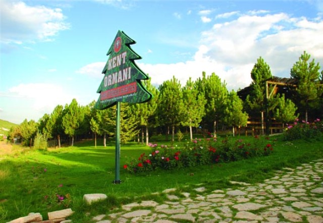 Şimdilerde Konya 5