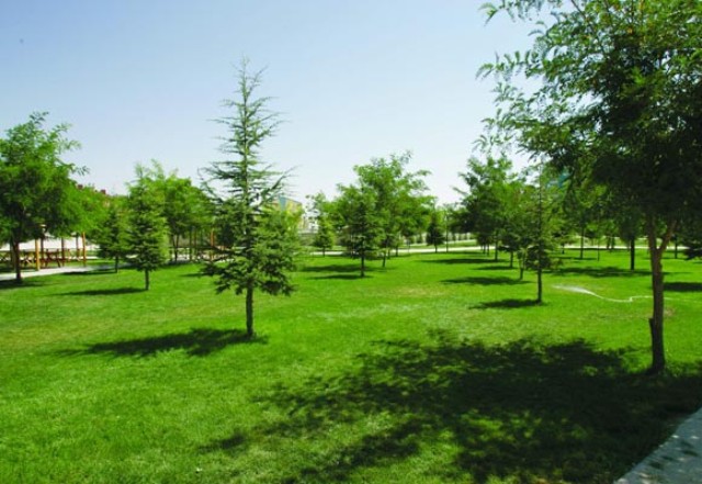 Şimdilerde Konya 7