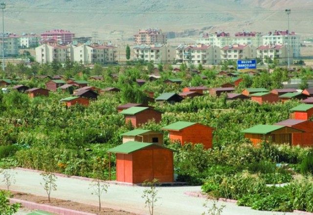Şimdilerde Konya 8