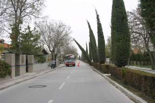 Konyada ağaçlar kırıldı 