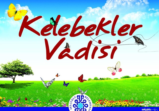 Rengarenk kelebekleri vadide uçuracak proje 4
