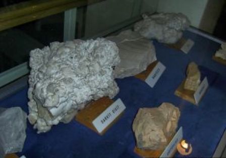 Koyunoğlu Müzesi 8
