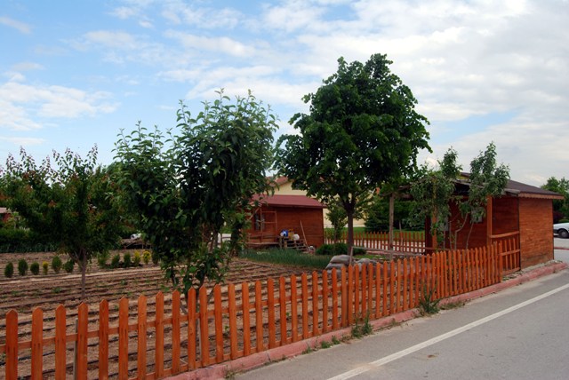 Belediyelerin hobi bahçeleri 3 bini aştı 4