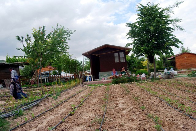 Belediyelerin hobi bahçeleri 3 bini aştı
