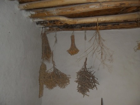 Çatalhöyük 24
