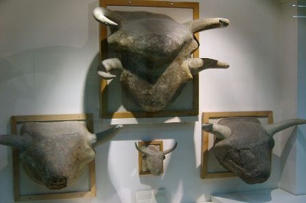 Çatalhöyük 4