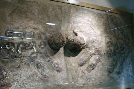 Çatalhöyük 9