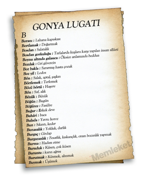 Gonya'nın lugatı 10