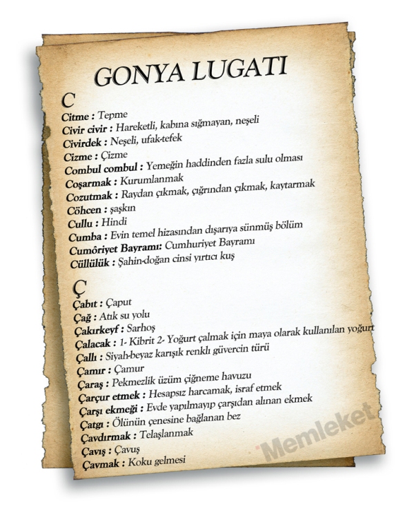 Gonya'nın lugatı 13