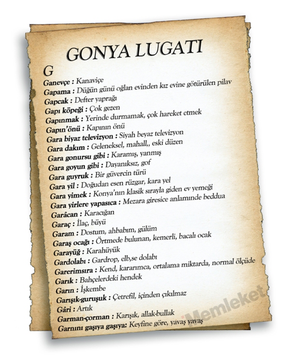 Gonya'nın lugatı 25