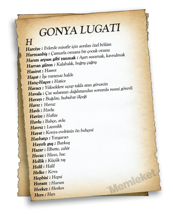 Gonya'nın lugatı 33