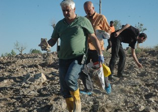 Hobi bahçesinde insana ait kafatası