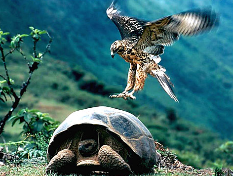 Tam o anda çekilen fotoğraflar 1