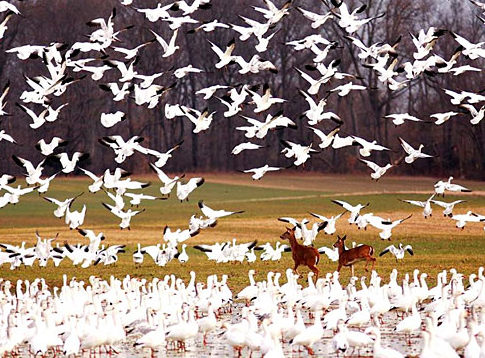Tam o anda çekilen fotoğraflar 10