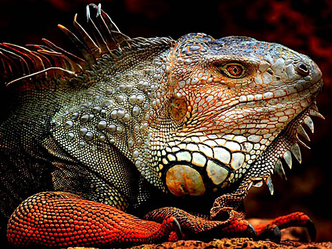 Tam o anda çekilen fotoğraflar 11