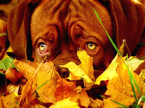 Tam o anda çekilen fotoğraflar 12