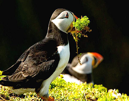 Tam o anda çekilen fotoğraflar 13