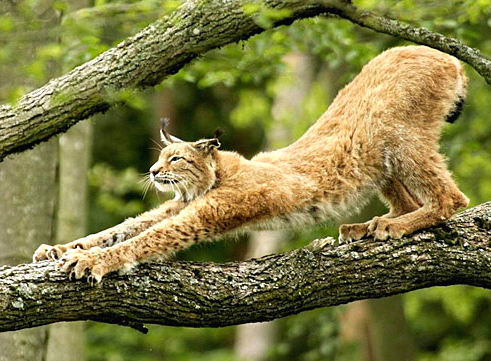 Tam o anda çekilen fotoğraflar 14